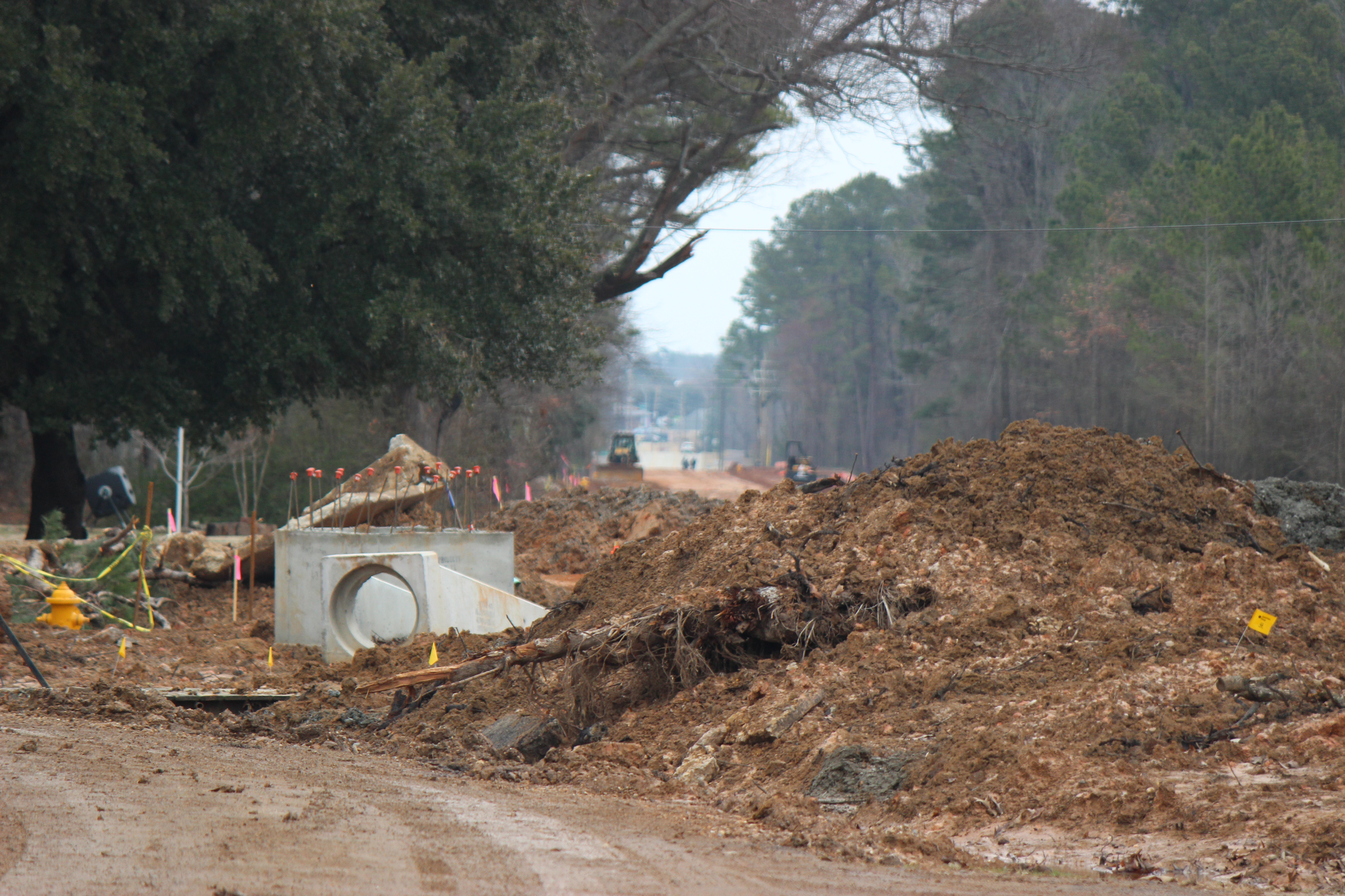 Robin and Morris looking to Cowhorn Creek